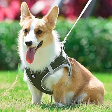Dog and Cat Universal Harness with Leash - Cat Harness Escape Proof - Adjustable Reflective Step in Dog Harness for Small Dogs Medium Dogs - Soft Mesh Comfort Fit No Pull No Choke Tactical Green M - Image 7