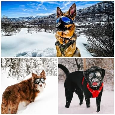 Namsan Dog Goggles for Large Dogs, Wide Snout & Soft Frame, Tactical Driving Sunglasses for Dogs Medium to Large Breed, Anti-UV Dog Eye Protection, Windproof Dustproof, Adjustable, Black - Image 5