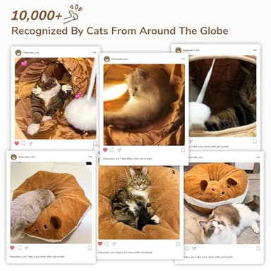 FUKUMARU Cat Tunnel Beds, Donuts Cats Tunnel Toys with Crinkle Paper Ears, Round Pet Playground Tunnel Toy for Kittens and Small Pets, Cat Hideway Interactive Toys, Collapsible and Washable - Image 7