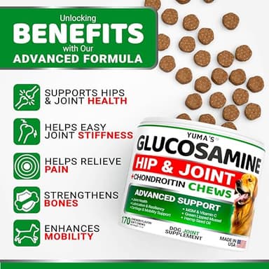 YUMA'S Glucosamine for Dogs - Hip and Joint Supplement for Dogs - 170 Ct - Glucosamine Chondroitin Chews - Joint Pain Relief Supplement with MSM - Advanced Health - Mobility Support - Made in USA - Image 2