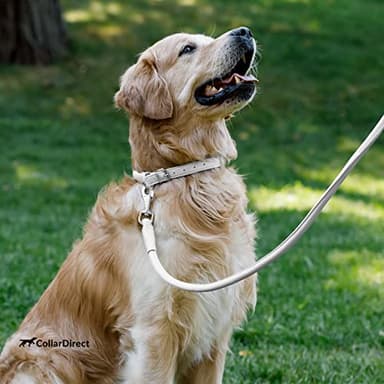 CollarDirect Rolled Leather Dog Collar, Soft Padded Round Puppy Collar, Handmade Genuine Leather Collar Dog Small Large Cat Collars 13 Colors (18-22 Inch, White Textured) - Image 8