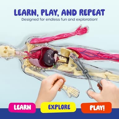 Dan&Darci Human Anatomy Squishy Body Model - Science Kits for Kids Ages 4-8 - STEM Toys for 4 5 6 7 8 Year Old Boy Birthday Gift - Learning Educational Toys for Ages 5-7 Boys Gifts - Skeleton Parts - Image 4