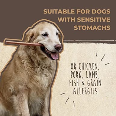 Mighty Paw Naturals Variety Pack Bully Sticks for Dogs - Grass Fed Beef Chews. Dog Bully Sticks for Large Pets, Medium and Small Breeds. Lower Odor Treats for Small Pets. Single Ingredient - Image 7