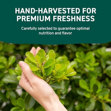 HANDPICK USDA Organic Moringa Powder (397g/14oz) Pure Moringa Oleifera Leaf Powder | Authentic Indian Origin | Gluten Free, Non-GMO | Perfect for Smoothies, Drinks, Tea & Recipes - Image 6