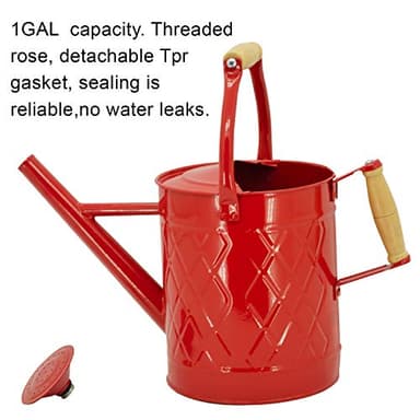 HORTICAN 1 Gallon Watering Can, Red, Galvanized, Metal Watering Can with Removable Spout, Perfect Water Can for Indoor & Outdoor Plants - Image 3