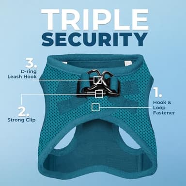 Voyager Step-in Air All Weather Mesh Harness and Reflective Dog 5 ft Leash Combo with Neoprene Handle, for Small, Medium and Large Breed Puppies by Best Pet Supplies - Set (Turquoise), XS - Image 2