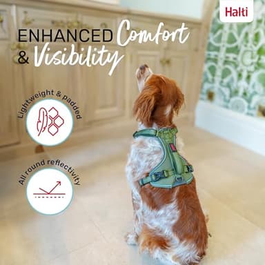 HALTI Anatomy Dog Harness with Handle - Provides Your Dog Freedom of Movement for Comfortable Walking. 3 Leash Attachment Points, Neoprene Padded, Adjustable, and Reflective (Size X-Large, Green) - Image 5