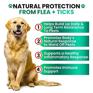 Flea and Tick Prevention for Dogs Chewables - Made in USA - Natural Flea and Tick Chews Supplement - Oral Pills for Dogs - Pest Defense - All Breeds and Ages - 120 Soft Tablets - Image 4