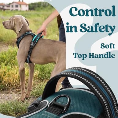 rabbitgoo Dog Harness Medium Sized, No Pull Pet Harness with 3 Buckles, Adjustable Soft Padded Vest with Control Handle, Walking Reflective Pet Vest for Medium Dogs, Blue Coral, M - Image 5