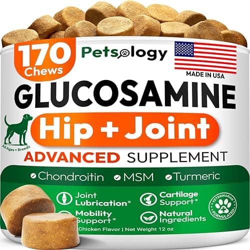 Petsology Glucosamine for Dogs - Hip and Joint Supplement for Dogs - 170 Mobility Chews - Glucosamine Chondroitin - MSM - Turmeric - Joint Pain Relief - Advanced Support for Dog Health - Made in USA - Image 1