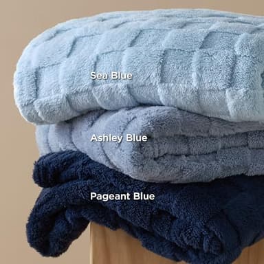Bedsure GentleSoft Twin Blanket for Bed Ashley Blue - Super Soft Cozy Blankets for Women Men Girls, Cute Fuzzy Fleece Throws for Bedroom Couch, 60x80 Inches - Image 6