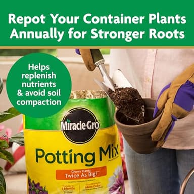 Miracle-Gro Potting Mix, For Container Plants, Flowers, Vegetables, Annuals, Perennials, Shrubs, Feeds for up to 6 Months, 16. qt., 2-Pack - Image 7