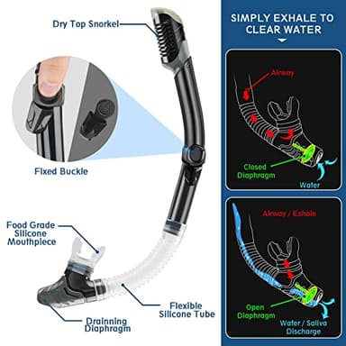 ZEEPORTE Mask Fin Snorkel Set with Adult Snorkeling Gear, Panoramic View Diving Mask, Trek Fin, Dry Top Snorkel +Travel Bags, Snorkel for Lap Swimming - Image 4
