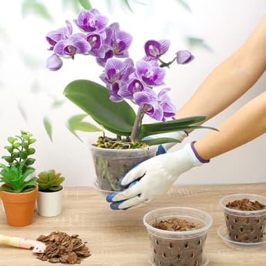 YOPIKUU Orchid Pot, 8 Pack 6 Inch Orchid Pots with Holes and Saucers, Clear Plastic Flower Plant Pot for Indoor Outdoor Plants, Slotted Orchids Planter(6Inch) - Image 6