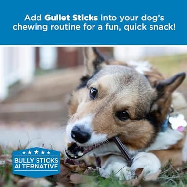 Best Bully Sticks 6 Inch Gullet Sticks - 25 Count (Pack of 1) - Natural, Thin, Hollow Esophagus Snack, Rawhide Alternative - Image 7
