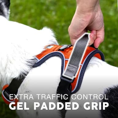 Embark Adventure Dog Harness, Reflective Trim No Pull Harness for Medium Sized Dog - Military Grade Nylon, Front Clip with Gel Lined Handle. Soft & Padded Puppy - Image 6