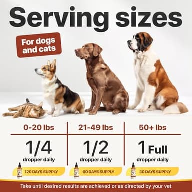 Charlie Buddy - Hеmp Oil for Dogs Cats - Hip and Joint Support and Skin Health - Anxiety, Calm, Pain - Omega 3, 6, 9 and Vitamins B, C, E - Image 6