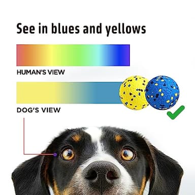 Kimee Dog Balls Tennis Ball Toys Dog Toys for Aggressive Chewers Durable Teething Chew Toys Water Toy Fetch Ball for Large Medium Small Dog and Puppies (4 Balls) - Image 3