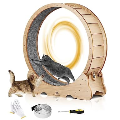 Cat Wheel, 43" L Large Cats Exercise Running Wheel, Cat Treadmill for Indoor Cats - Image 1
