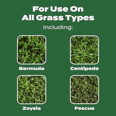 Scotts Turf Builder Lawn Food - Fertilizer for All Grass Types, 15,000 sq. ft., 37.50 lbs. - Image 5