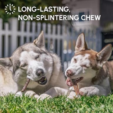 Downtown Pet Supply Bully Sticks for Dogs - Natural 6 Inch Beef Chews, Odor-Free & Rawhide-Free, Long Lasting Dog Treats for Aggressive Chewers - Healthy, Safe & Delicious Chews Dogs Love (18 Pack) - Image 5