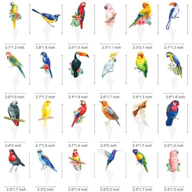 Tropical Bird Cupcake Toppers 48Pcs Parrot Birthday Cupcake Toppers Tropical Bird Party Decorations Summer Rainforest Bird Cupcake Picks for Hawaiian Luau Party Supplies - Image 3