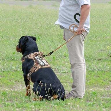 Beebiepet Heavy Duty Tactical Dog Harness for Large Dogs, No Pull Adjustable Pet Harness Reflective Service Training Easy Control Pet Vest Military K9 Working Dog Harnesses- Large, Desert Camo - Image 3