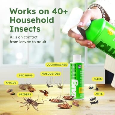BugMD Ant Killer & Bug Spray - Roach and Cockroach Killer Indoor, Spider Spray for Home, Fly and Insect Defense, Natural, Safe with Essential Oils, Plant-Powered, Pest Control - Starter Kit - Image 3