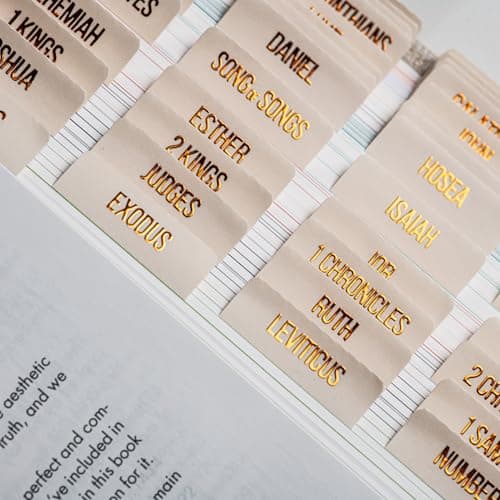 DiverseBee Laminated Bible Tabs (Copper Embossed Lettering), Bible Journaling Supplies, Bible Book Tabs, Christian Gift, 73 Bible Tabs for Women and Men, Includes 4 Blank Tabs (Alabaster) - Image 1