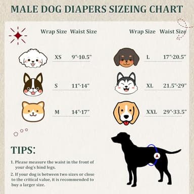Reusable Dog Diapers Male, Premium Washable Belly Bands for Male Dogs Small, Pack of 5, High Absorbing Male Dog Wraps for Doggie & Puppy in Incontinence or Excitable Urination and Training(S) - Image 3