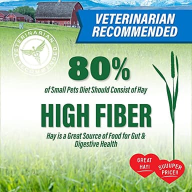 Small Pet Select Value Choice Timothy Hay for Rabbit, Guinea Pig, Bunny, Chinchilla and Other Small Animals, Premium Natural Hay Grown in The US, Pet Food, 8lb - Image 2