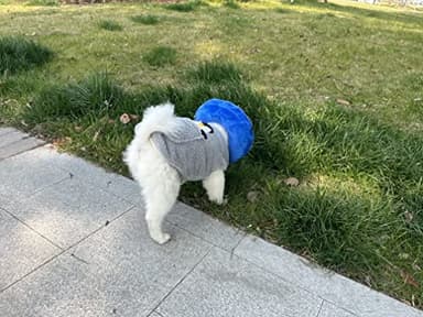 Comfortable & Adjustable Inflatable Pet Collar - Alternative to Cone Shaped Collars - Great for Post-Surgery or Injury Recovery - Durable & Non-Toxic Material -Safe and Protective - (Medium 9-12 in.) - Image 6