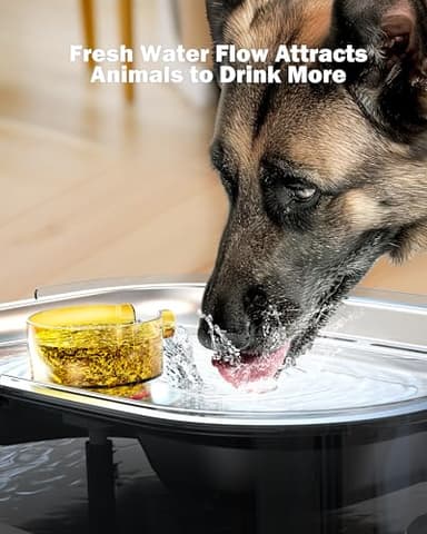 Dog Water Fountain, Dog Water Fountain for Large Dogs Stainless Steel, Large Dog Water Bowl Dispennser 2.6Gal 10L Pet Water Fountain, BPA Free - Image 5