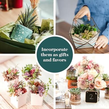 Shop Succulents Assorted Succulent Plant Pack Bulk Collection - Live Mini Succulent Plants, Low Maintenance, Mixture of Colors & Textures - Wedding and Party Favors, Gift & Garden, Pack of 20 - Image 5