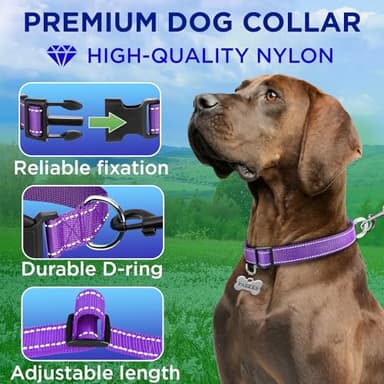 TECEUM Reflective Dog Collar – Violet – S – Basic Nylon Pet Collar – Quick Release Buckle – Fits Small, Medium and Large Dogs, Puppies, Cats – ESA & Service Dog Options - Image 2