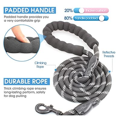 BAAPET 2/4/5/6 FT Dog Leash with Comfortable Padded Handle and Highly Reflective Threads for Small Medium and Large Dogs (5FT-1/2'', Black) - Image 2