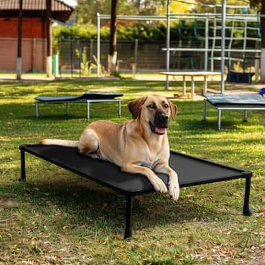 Veehoo Chew Proof Elevated Dog Bed - Durable Raised Dog Training Platform, Agility, Ideal for Large Dogs - Indoor/Outdoor, CWC2420CP - Image 1