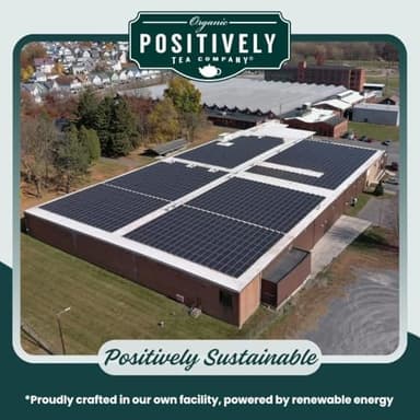 Organic Positively Tea Company, Spearmint Leaf Herbal Tea Bags, 100 Count, Eco-Friendly Tea Bags, Non-GMO - Image 4