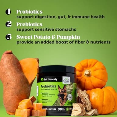 Pet Honesty Probiotics for Dogs - Digestive Enzymes Promotes Gut Health, Dog Probiotics for Bowel Support, Fiber for Regularity, Prebiotics for Immune Health & Gut Flora (Pumpkin, 90 ct) - Image 3