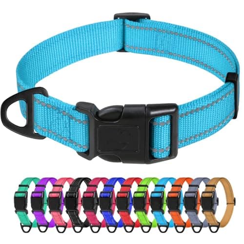 TagME Small Dog Collar, Adjustable Reflective Nylon Pet Collar with Quick Release Buckle, Sky Blue, 5/8" Width - Image 1