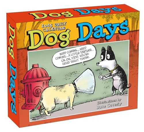 Dog Days 2025 Boxed Daily Desk Calendar by Dave Coverly - Image 1