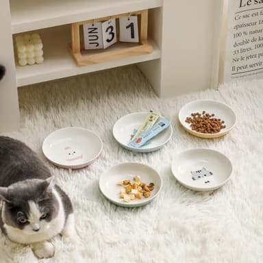 Ceramic Cat Bowls Set - 5.7 inch Wide Cat Food Bowls Whisker Fatigue Friendly, 5 Colorful Kitten Dish Plates with Cute Pattern for Wet and Dry Food Water - Image 5