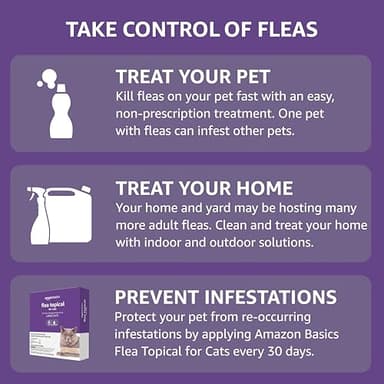 Amazon Basics Topical Flea Treatment for Large Cats (Over 9 Pounds), 6 Count (Previously Solimo - Image 5