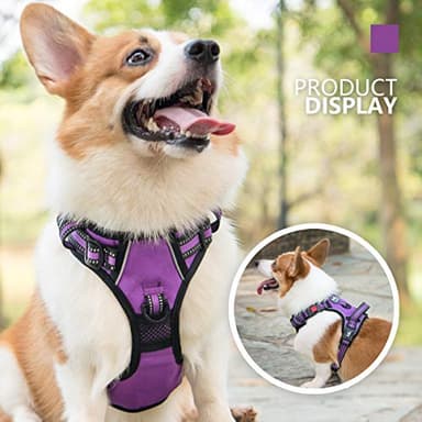 PoyPet No Pull Dog Harness, [Release on Neck] Reflective Adjustable No Choke Pet Vest with Front & Back 2 Leash Attachments, Soft Control Training Handle for Small Medium Large Dogs(Purple,S) - Image 6