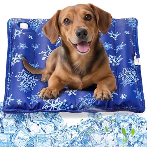 PatiencET Dog Cooling Mat, 19'' x 19'' Pet Cool Mat for Dogs and Cats, Durable Water Injection Dog Cooling Pad for Summer, Pet Cool Bed with Removable Cover for Indoor Outdoor - Image 1