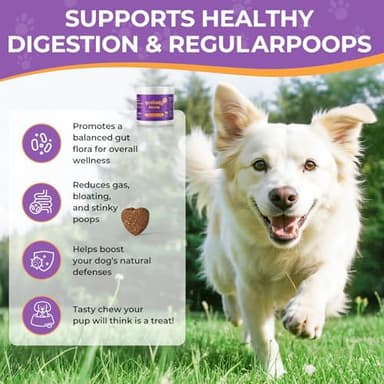 Probiotics for All Breeds and Ages Dogs, Support Gut Digestive Health, Anti Diarrhea, Constipation Relief, No More Allergies, Dog Supplements - Pork Flavor - 90 Soft Chews - Image 4