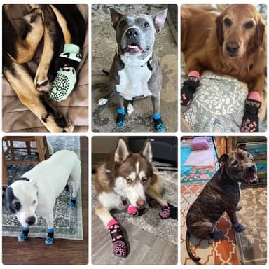 KOOLTAIL Dog Socks for Hot/Cold Pavement to Prevent Licking Paws,Dog Boots&Paw Protector for Hardwood Floors Anti Slip,Traction Control No Twist Grip Booties for Small Medium Large Senior Dogs L - Image 7