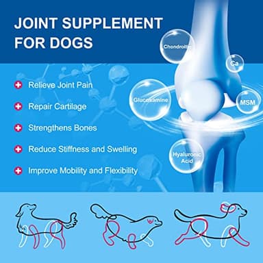 NATURE TARGET Dog Vitamins Powder, Probiotics & Digestive Enzymes for Gut Health, Glucosamine & Chondroitin & Omega 3, Complete Supplement for Homemade Dog Food, Joint & Skin & Immune Support - Image 6