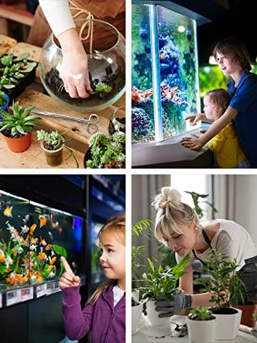 Mandala Crafts Rainbow Stainless Steel Aquascaping Tools Kit – Aquarium Plant Tools with Tweezers, Spatula, and Scissors for Fish Tanks, Hospital Tanks, Goldfish Bowls, Aquariums, and Terrariums - Image 5