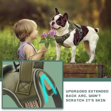 No Pull Dog Harness for Small Dogs, Adjustable No Choke Pet Vest with Dog Leash Fit Smart Reflective Pet Walking Harness for Training Easy Control Soft Handle Green S - Image 5